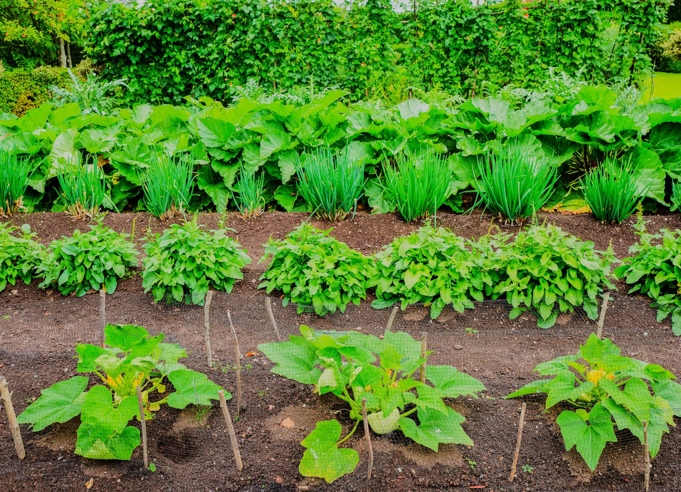 allotment