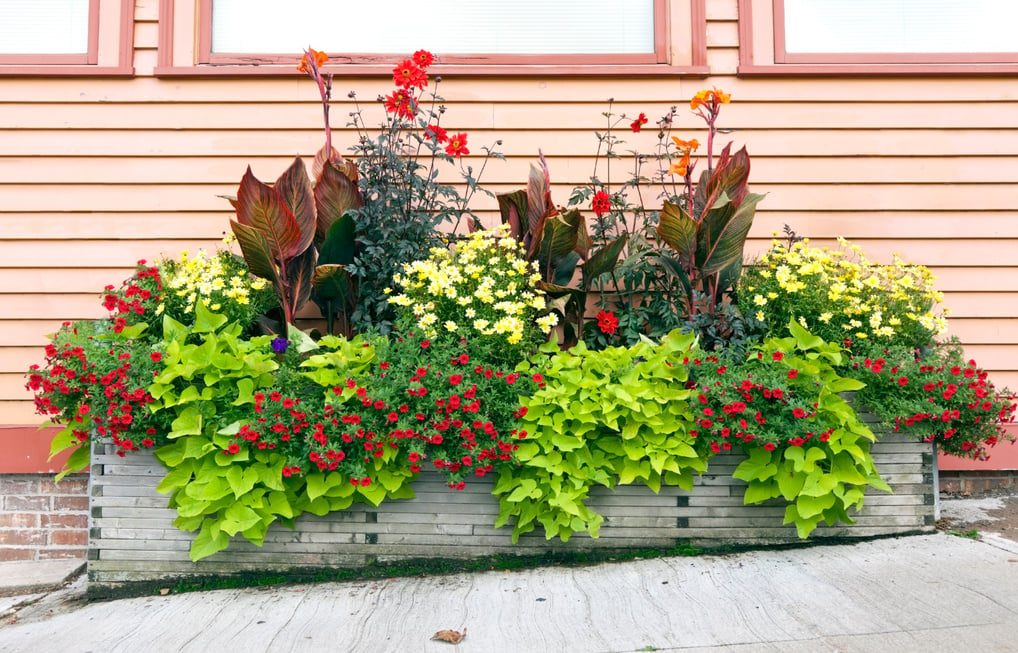 Sidewalk Planter